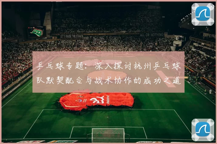 乒乓球专题：深入探讨杭州乒乓球队默契配合与战术协作的成功之道