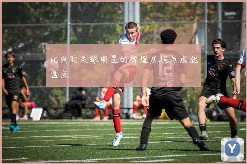 比利时足球明星的辉煌历程与成就盘点