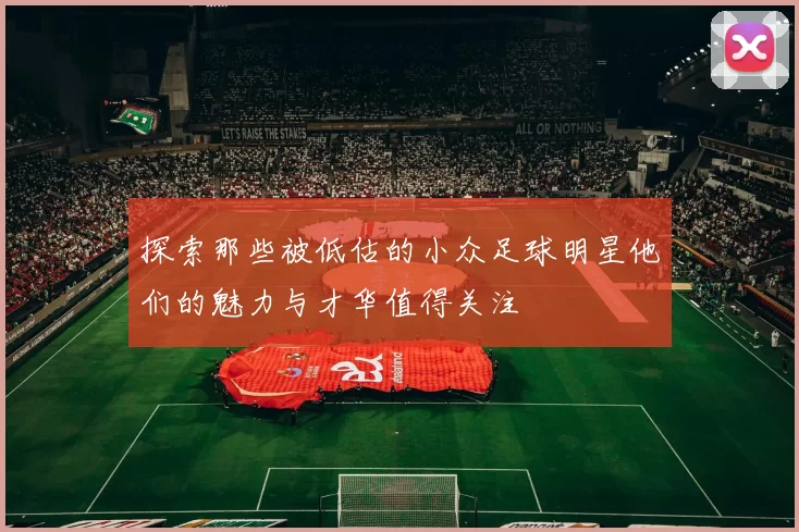 探索那些被低估的小众足球明星他们的魅力与才华值得关注