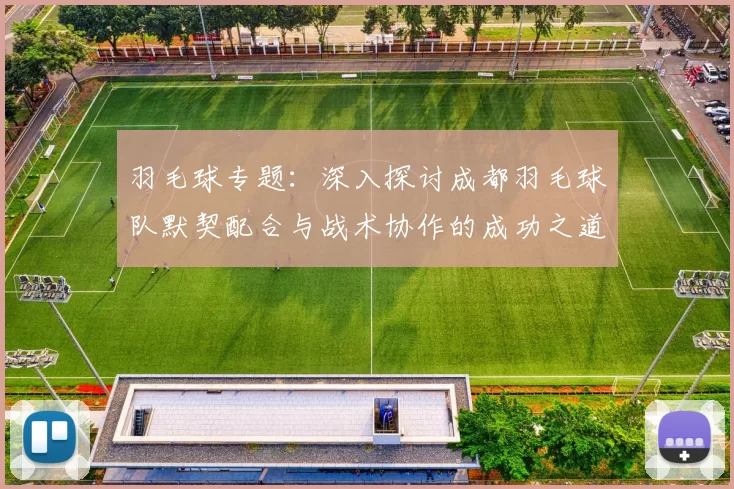 羽毛球专题：深入探讨成都羽毛球队默契配合与战术协作的成功之道