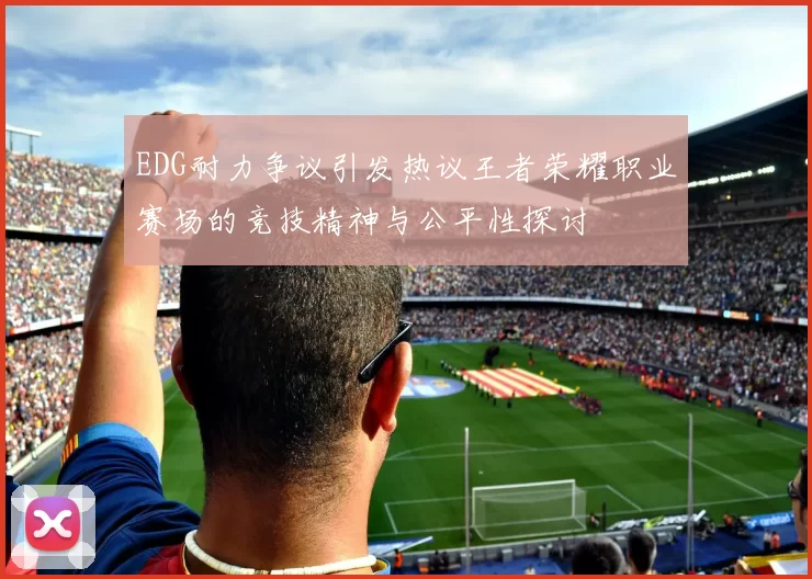 EDG耐力争议引发热议王者荣耀职业赛场的竞技精神与公平性探讨