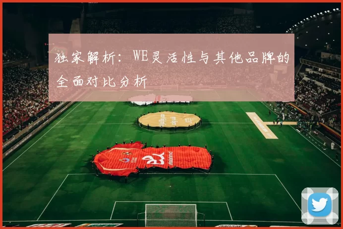 独家解析：WE灵活性与其他品牌的全面对比分析