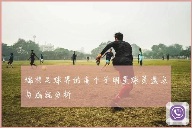 瑞典足球界的高个子明星球员盘点与成就分析
