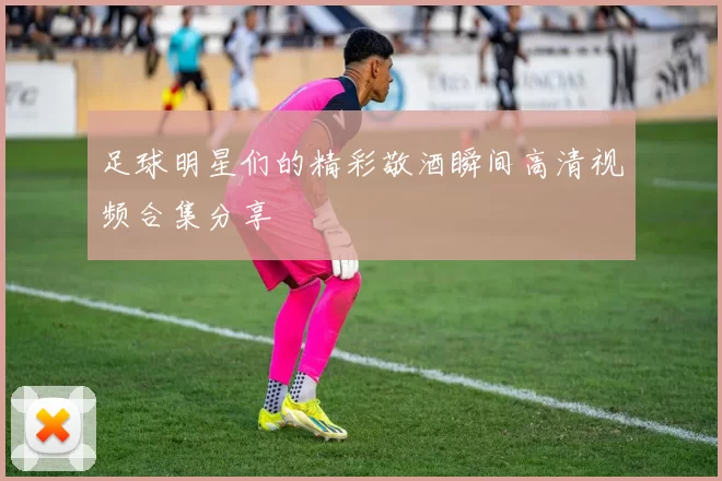 足球明星们的精彩敬酒瞬间高清视频合集分享