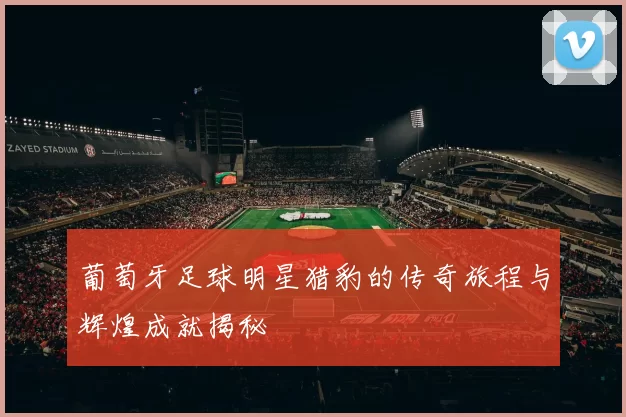 葡萄牙足球明星猎豹的传奇旅程与辉煌成就揭秘