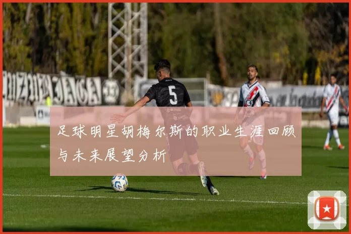 足球明星胡梅尔斯的职业生涯回顾与未来展望分析