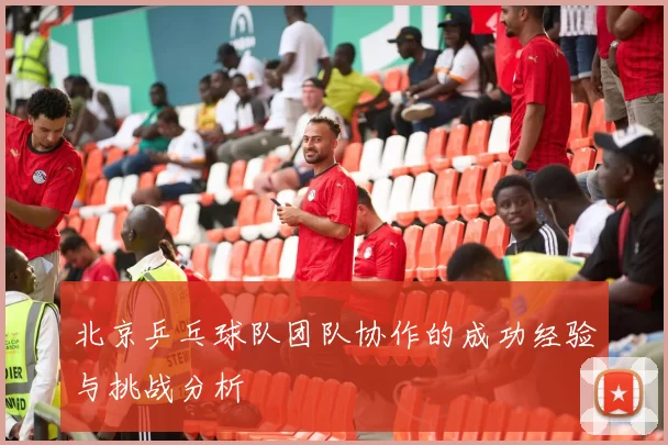 北京乒乓球队团队协作的成功经验与挑战分析