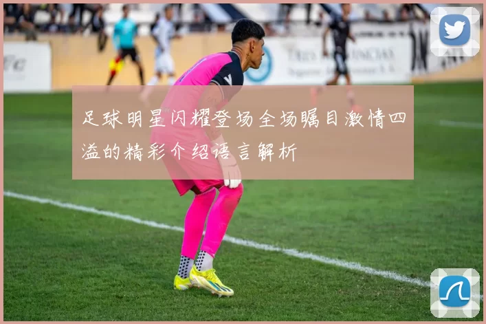足球明星闪耀登场全场瞩目激情四溢的精彩介绍语言解析