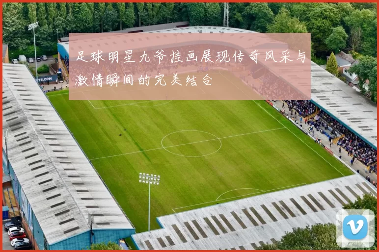 足球明星九爷挂画展现传奇风采与激情瞬间的完美结合