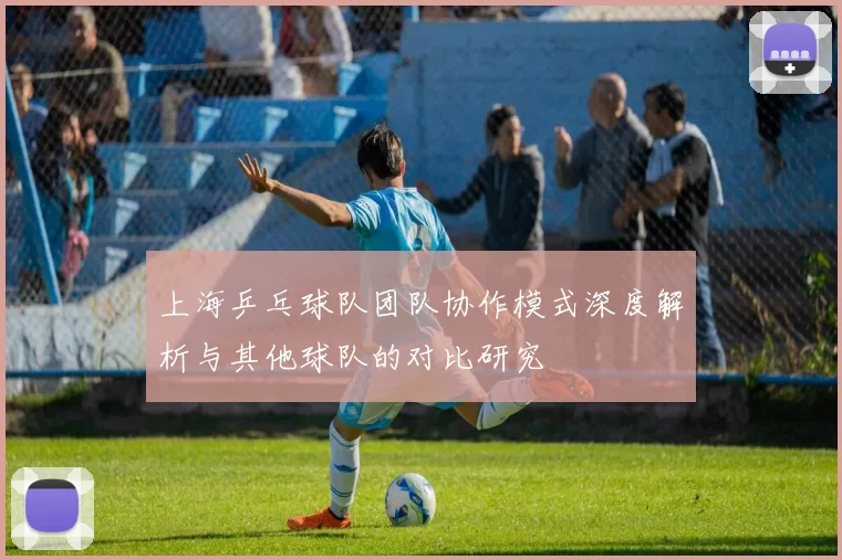 上海乒乓球队团队协作模式深度解析与其他球队的对比研究
