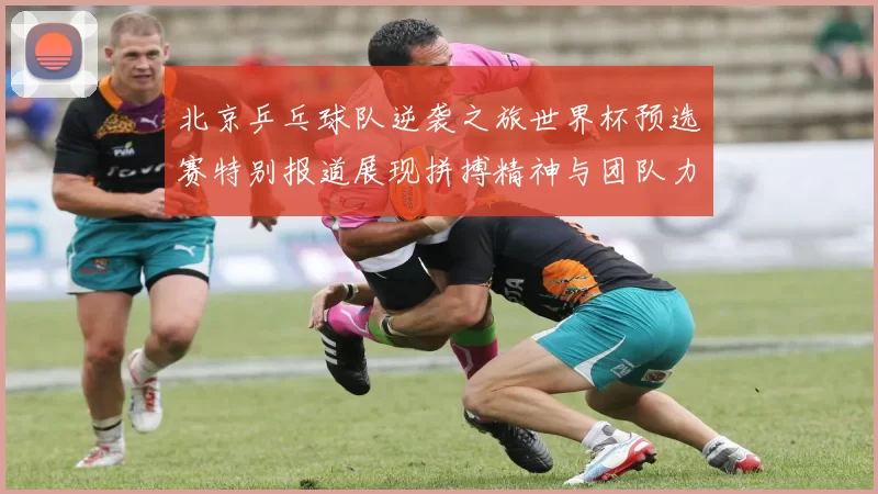 北京乒乓球队逆袭之旅世界杯预选赛特别报道展现拼搏精神与团队力量