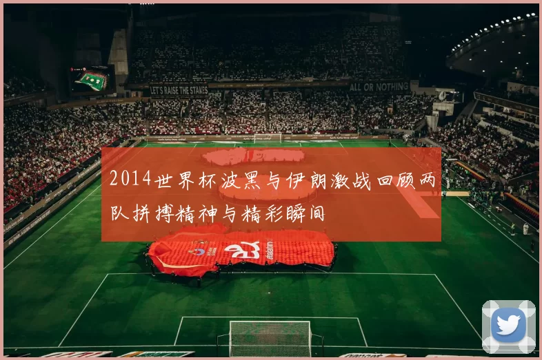 2014世界杯波黑与伊朗激战回顾两队拼搏精神与精彩瞬间