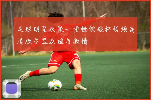足球明星欢聚一堂畅饮碰杯视频高清版尽显友谊与激情