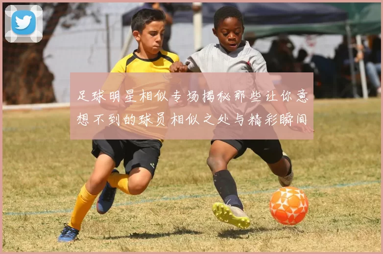 足球明星相似专场揭秘那些让你意想不到的球员相似之处与精彩瞬间