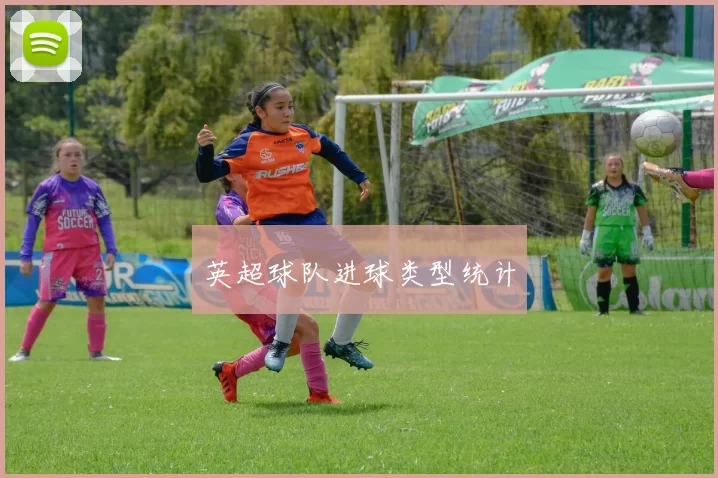 英超球队进球类型统计