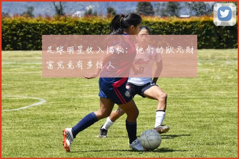 足球明星收入揭秘：他们的欧元财富究竟有多惊人