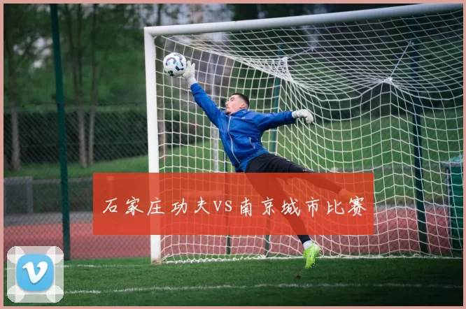 石家庄功夫vs南京城市比赛