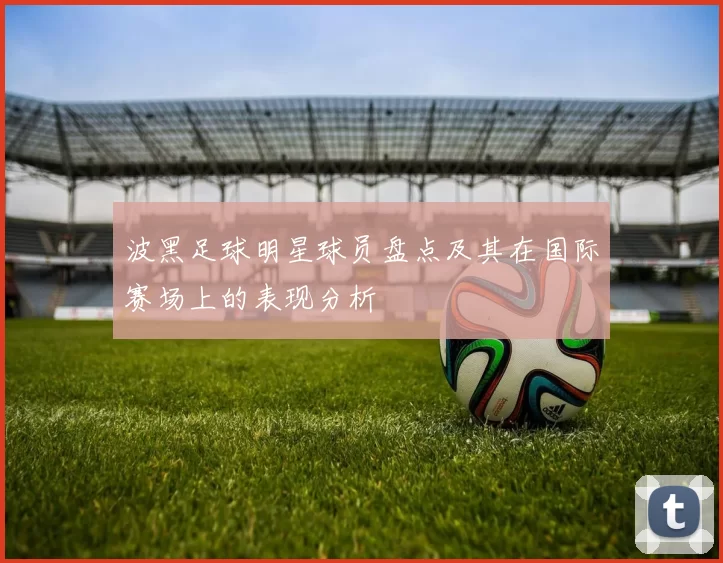 波黑足球明星球员盘点及其在国际赛场上的表现分析